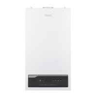 Газовый котёл  Haier ProLine S 2.32 TiW